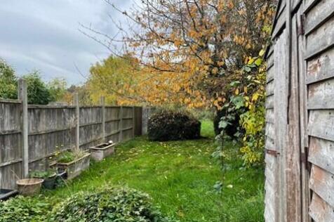 Garden T202511061501.jpg