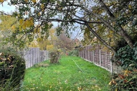 Garden . T202511061501.jpg