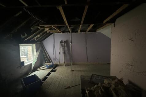 IMG 1558 T202510291835.jpg