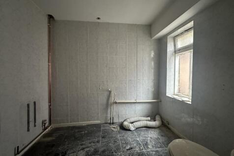 IMG 1559 T202510291835.jpg