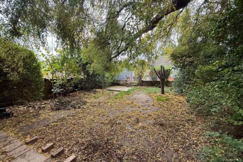 Outside 4 Medium T202511061138.jpg