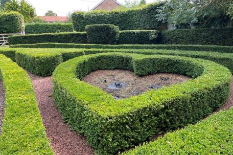 20250801 082504000 IOS 1  Medium  T202508111721.jpg