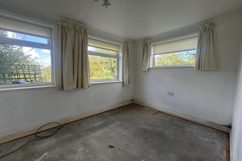 IMG 9224 T202509230946.jpg