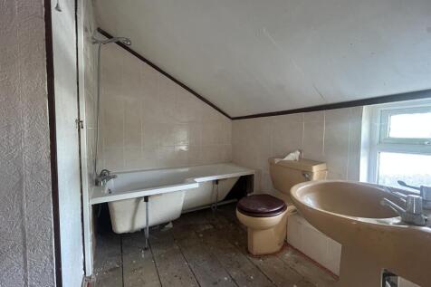 IMG 9211 T202509230945.jpg