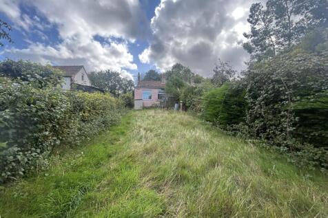 IMG 9238 T202509230946.jpg