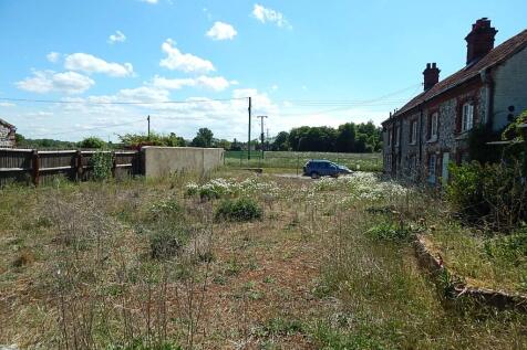 5  Medium  T202507280956.jpg