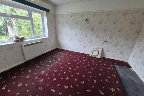 20251106 113725  Medium  T202511111033.jpg