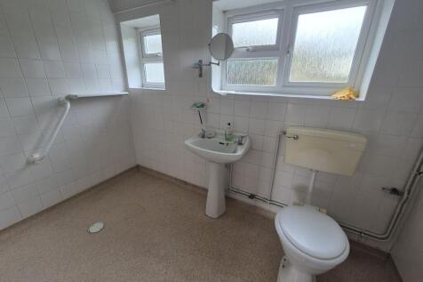 20251106 113707  Medium  T202511111033.jpg