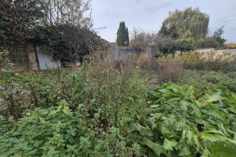 20251106 113332  Medium  T202511111033.jpg