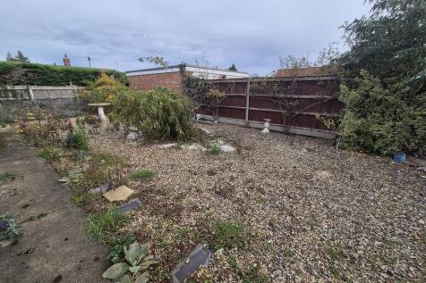 20251106 113140  Medium  T202511111033.jpg