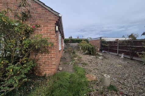 20251106 113126  Medium  T202511111033.jpg