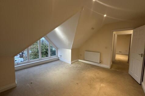 IMG 1816  Medium  T202511111034.jpg