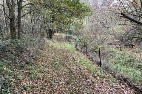 10 T202511121156.jpg