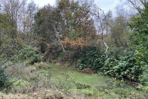 12 T202511121156.jpg