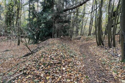 13 T202511121156.jpg