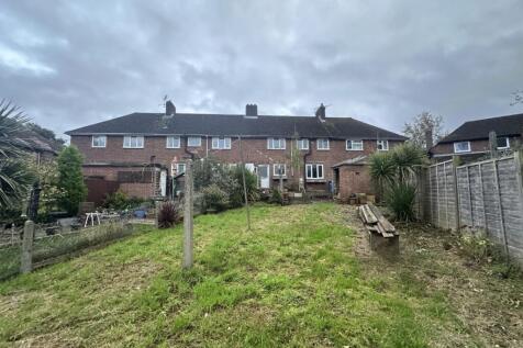 IMG 1900 T202511121326.jpg