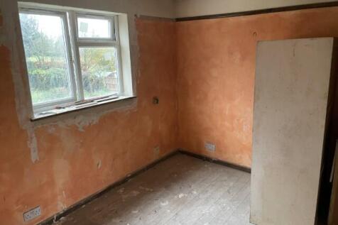 16 Small T202511131134.jpg