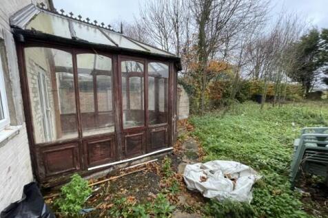 20 Small T202511131134.jpg