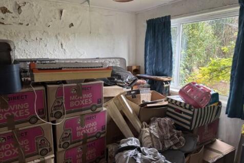 20251020 124517371 IOS  Small  T202511121549.jpg