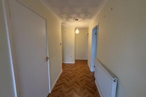 8  Small  T202511131246.jpg