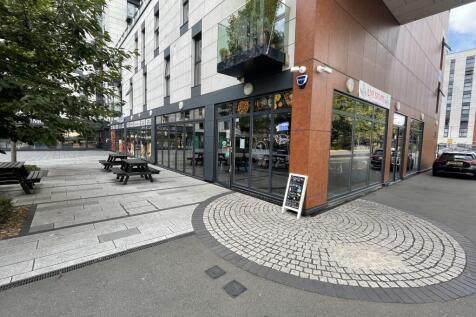 IMG 0288 Jpg (Medium) T202409171537.jpg