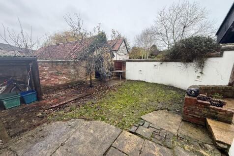 2  Medium  T202511141717.jpg