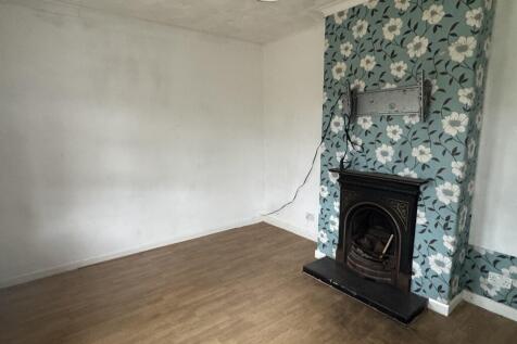 2  Medium  T202510282240.jpg