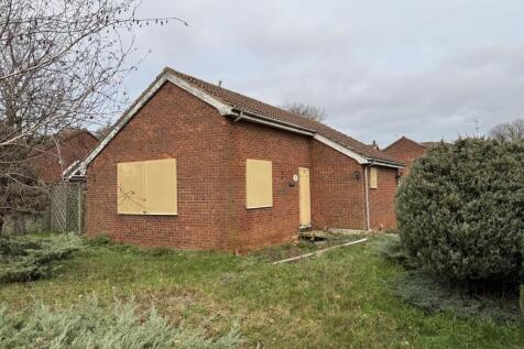 1 Medium T202512171615.jpg