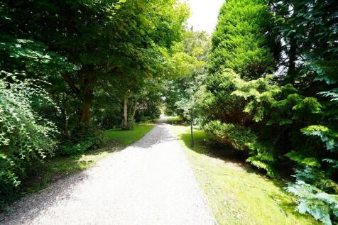 The Drive