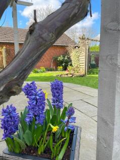 Spring Time