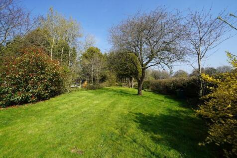The Garden