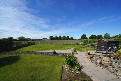 The Garden