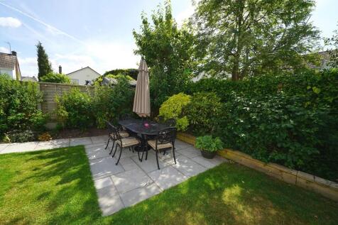 Garden 4