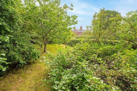 The Orchard
