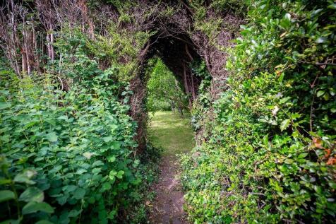 To The Orchard