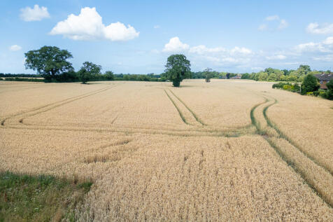 Adjoining Field