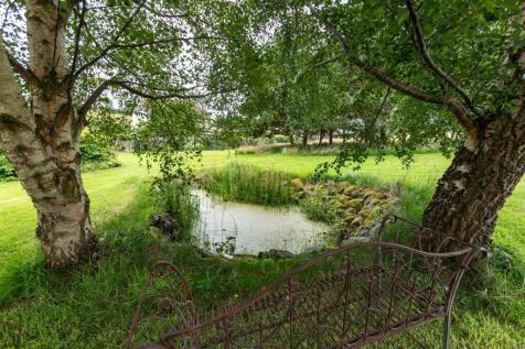 Property Image 53