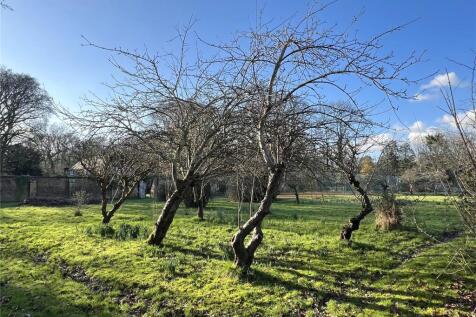 Orchard