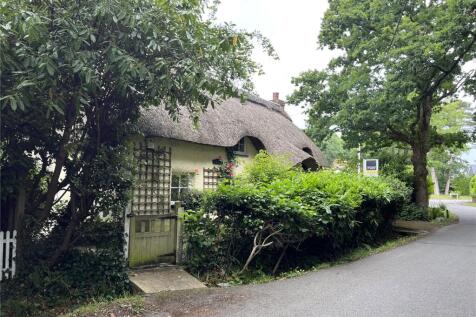 The Property