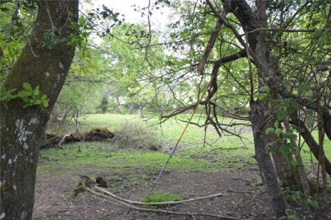 Nearby New Forest