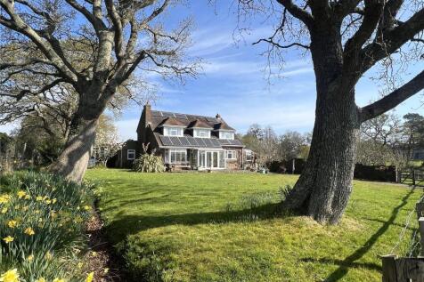 The Property
