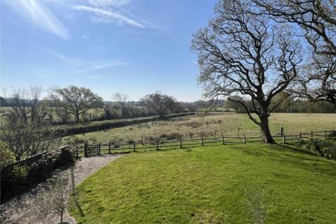 The Paddocks