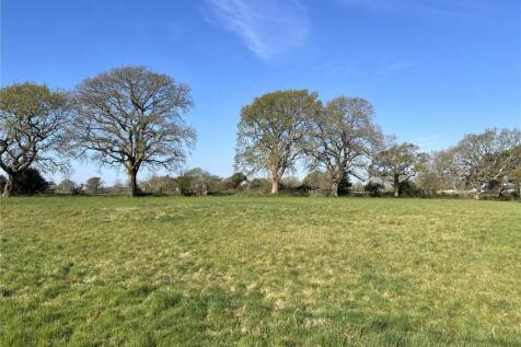 The Paddocks