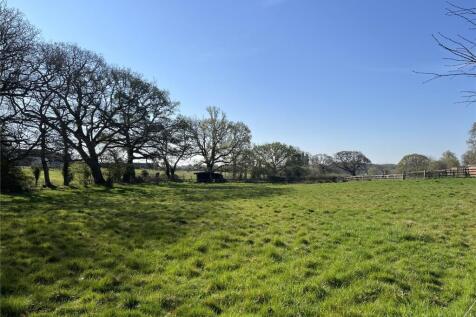 The Paddocks
