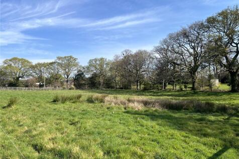 The Paddock