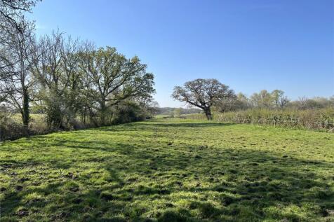 The Paddocks