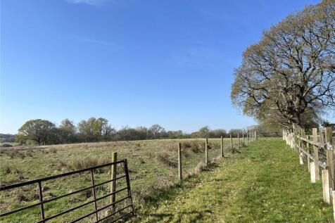 The Paddocks
