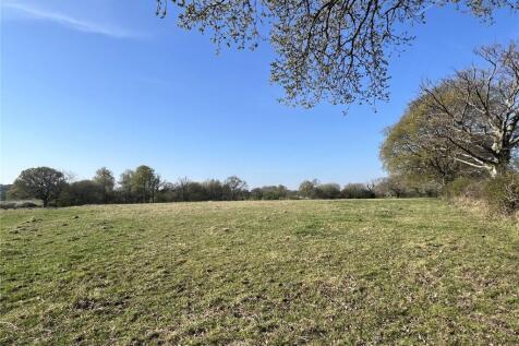 The Paddocks