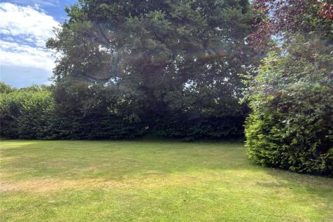 The Garden