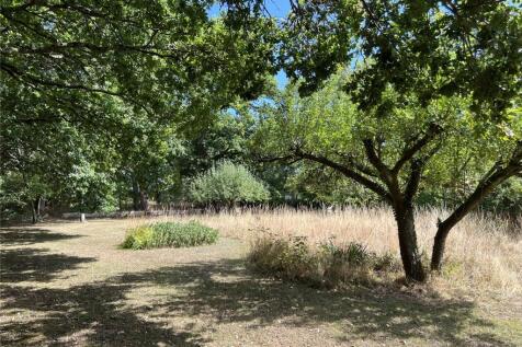 The Orchard